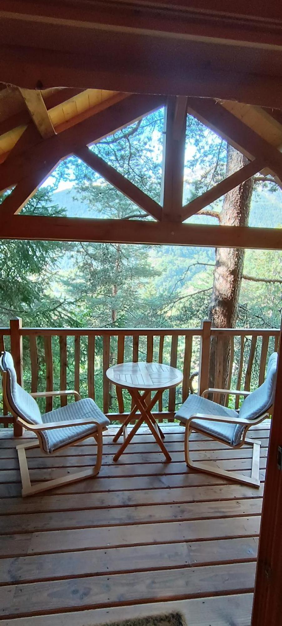 Les Cabanes Des Pins Sylvestres Saint-Martin-Vésubie 외부 사진